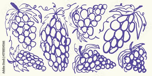 Italian style Grapes hand drawn vector illustrations in grunge chalk or charcoal rough doodle sketch style.