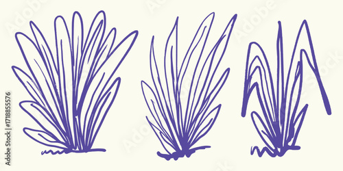 Italian style Grass Sketches hand drawn vector illustrations in grunge chalk or charcoal rough doodle sketch style.