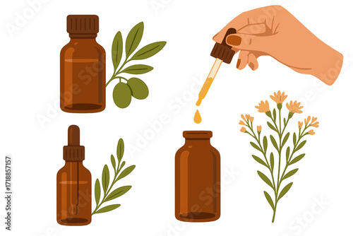 Essential oil set with olive branch and dropper. Hand holds pipette with cosmetic serum. Natural herbal medicine for aromatherapy, skincare, and beauty treatment. Vector icon.
