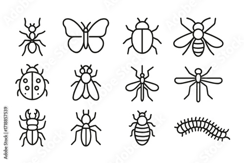 Insect bug line icon set. Vector collection of ant, butterfly, beetle, bee, ladybug, fly, mosquito, centipede. Minimal outline pictogram with editable stroke for web design.