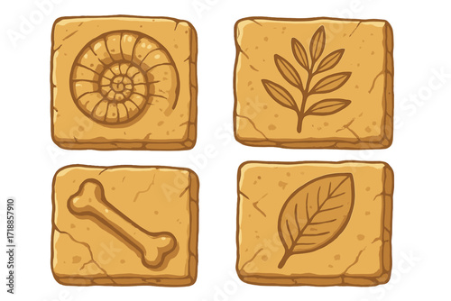 Archeology fossil dig imprints set. Paleontology collection with ammonite shell, bone, plant, leaf prints on ancient sand stone. Prehistoric evolution rock art for history.