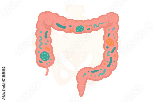 Gut microbiome in human body. Intestines with good bacteria and flora. Colon health and digestive system. Probiotics concept vector illustration. Medical anatomy cartoon.