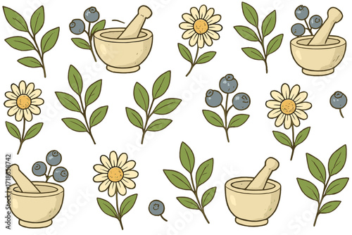 Seamless pattern with herbal ingredients. Mortar and pestle, chamomile, blueberry. Natural cosmetic and medical plant background. Hand-drawn vector for wellness, aromatherapy, skincare.