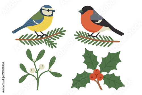 Set of Christmas winter birds illustration. Blue tit and bullfinch on fir branch. Festive holiday vector elements with holly berry and mistletoe. Nature clipart collection.