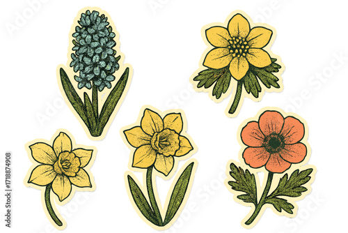 Vintage spring flowers kit in halftone collage style with retro hyacinth, winter aconite, daffodil, and anemone floral stickers for poster, t-shirt, and design
