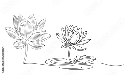 Line art  water lily drawing, One line Continuous water lily art, Hand drawn floral design.
