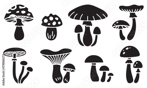 Black and White Mushroom Silhouette Collection