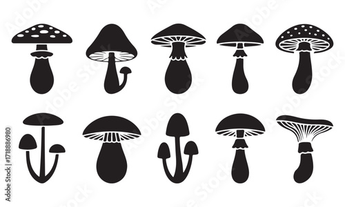 Black and White Mushroom Silhouette Collection