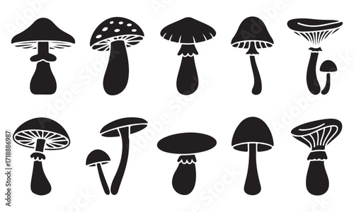 Black and White Mushroom Silhouette Collection