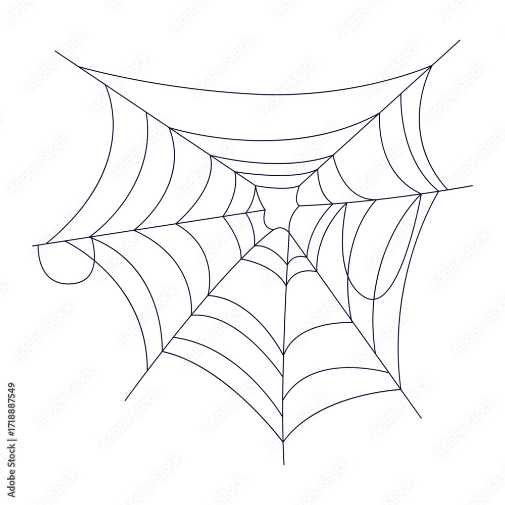 Fototapeta premium Hand-Drawn Spider Web and Arachnid Elements