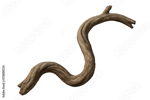 Gnarled driftwood branch forming a twisted serpentine shape, raw natural wood texture on transparent background