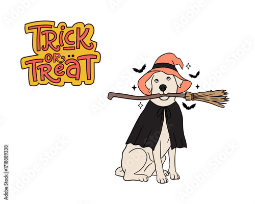 Halloween Labrador Retriever Dressed Up for Trick or Treat, Celebrating Spooky Season Fun