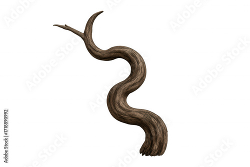 Gnarled wood trunk branch twisting and curving, organic serpentine shape, plant nature element with transparent background