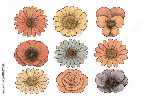 Vintage spring flowers set, collage flower heads top view, minimalism aesthetic, retro bitmap scrapbooking style, dotted elements, trendy stickers, floral design collection