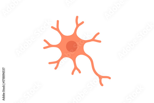 A simplified orange neuron illustration depicting the fundamental structure of a nerve cell, essential for understanding brain function and neural networks.