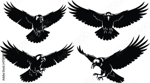 Four black raven silhouettes in flight with spread wings on a white background