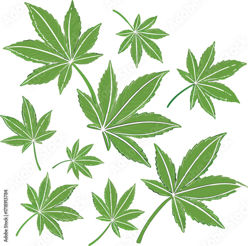 A scattering of vibrant green cannabis leaves against a white backdrop