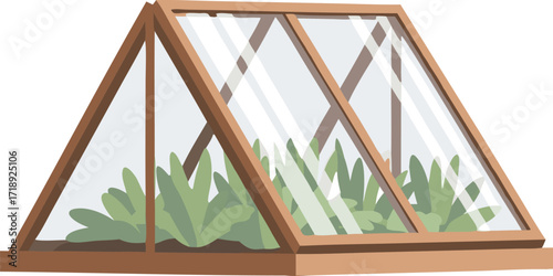 A small triangular cold frame greenhouse made of glass and wood, sheltering green plants—perfect for gardening visuals, home growing guides, urban farms, and sustainable lifestyle illustrations