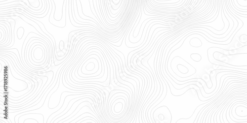 Topographic seamless map pattern with contour lines. Abstract geographic elevation design, lines sea map modern white background.	