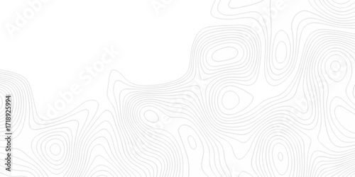 Topographic seamless map pattern with contour lines. Abstract geographic elevation design, lines sea map modern white background.	