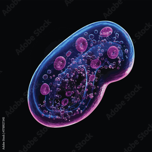 Naegleria fowleri, dangerous free-living amoeba known as brain-eating amoeba scientific 3D illustration Microscopic protozoan parasite, pathogenic biology research