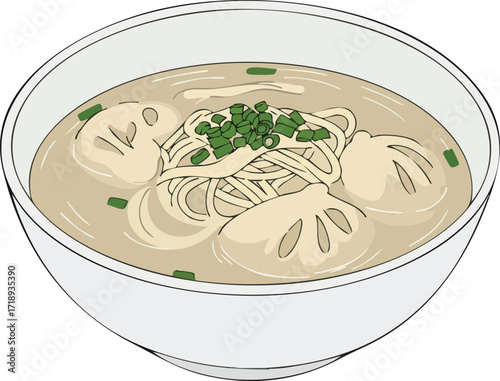 A bowl of noodle soup with dumplings and green onions.