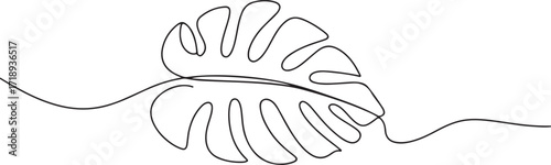 Minimalist Continuous Line Drawing of Monstera Deliciosa Leaf in Black and White