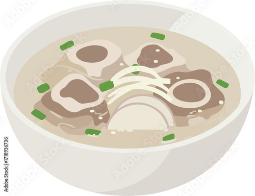 A bowl of bone broth soup with noodles and green onions.