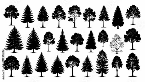 Various silhouette illustrations of trees and conifers on a white background, great for design