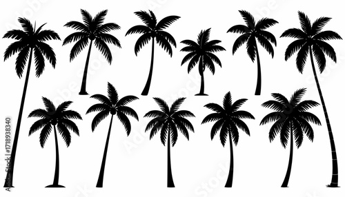 Collection of Silhouette Palm Trees A Vector Illustration for Tropical Designs and Summer Themes