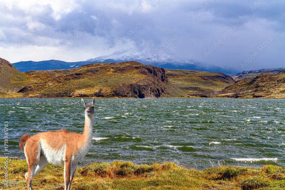 Naklejka premium Laguna Las Mellizas