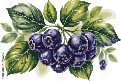 Vibrant cluster of ripe blueberries with lush green leaves on a branch, showcasing natural sweetness and freshness.