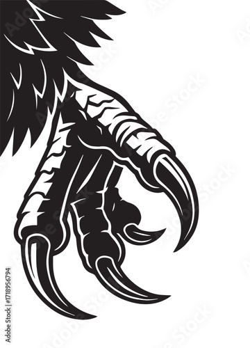 Black and white illustration of a bird of prey's claw with sharp talons predator