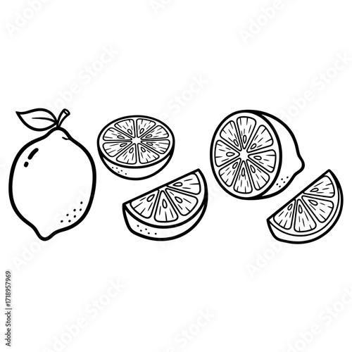 Fresh lemon and sliced lemon pieces arranged on a transparent background showcasing natural citrus fruit 