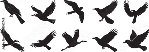 A set of Flying bird silhouette vector, black and white silhouette vector illustration
