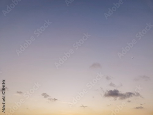 Minimal sunset sky with scattered clouds and a flying bird.