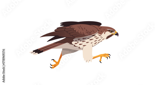 Stylized hawk illustration showcasing sharp talons, feathered wings, and vibrant yellow eyes against a pure white canvas