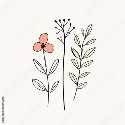 Minimalist hand drawn floral illustration with delicate pink flower, cream leaves, and abstract branch in simple doodle style vector art for design elements and logos
