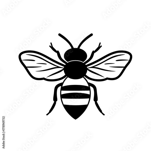Minimalist black and white bee illustration with striped body and detailed clear wings vector design insect pollinator symbol graphic art