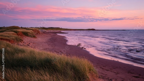 Fototapeta Naklejka Na Ścianę i Meble -  Coastal sunset; pink sky over beach and dunes