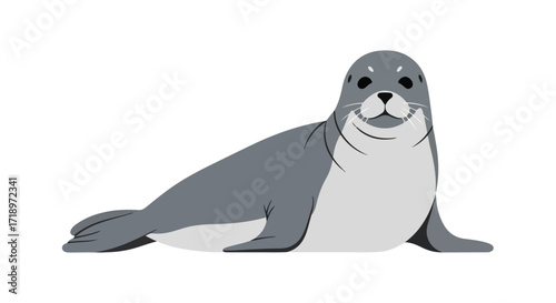 Adorable minimalist illustration of a grey seal, perfect for educational or children's content use with endearing details displayed