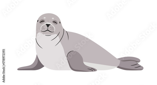 A delightful illustration of a harbor seal resting contently on a white backdrop, embodying marine life simplicity
