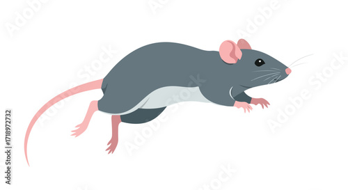 Animated depiction of a gray rodent, showing its pink ears and tail, isolated against a white background, showcasing a playful pose of this small