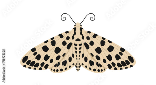 A beautifully rendered cream-colored moth with striking black spots gracefully poised against a stark white backdrop showcasing nature's intricate