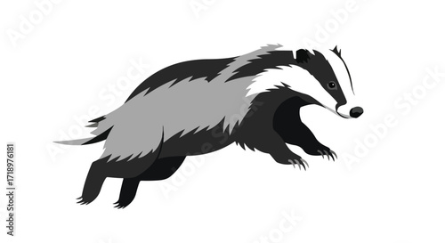 Dynamic Badger Mid-Leap: Graphic Illustration of a European Badger in Motion on a Plain Background