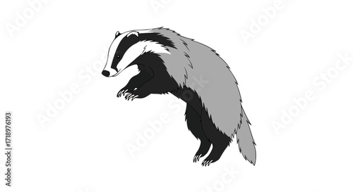 Illustrative badger poised with animated curiosity, ready for adventure against a clean white backdrop offering design flexibility