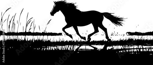 illustration of a black horse running in grass