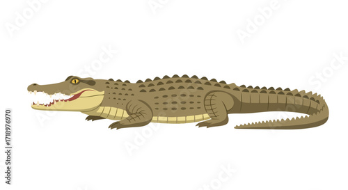 Illustration of a Nile crocodile with visible teeth, depicting its powerful structure and textured skin in a stylized cartoon form