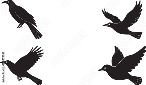 A set of Flying bird silhouette vector, black and white silhouette vector illustration