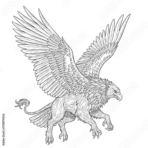 A detailed black and white line art illustration of a majestic griffin with its powerful wings spread wide.